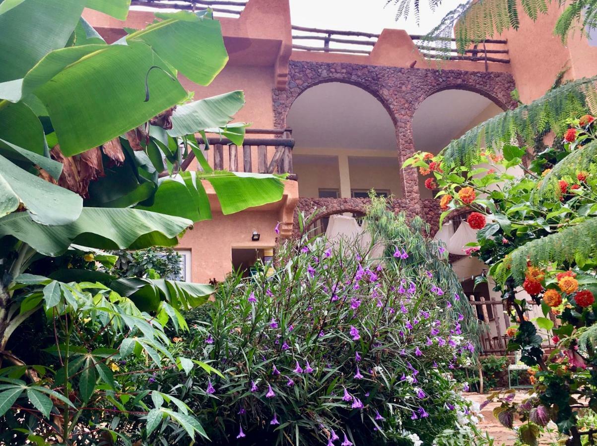 Ker Lep Jamm - Chez Moussa Et Cinzia Bed and Breakfast Toubab Dialaw Buitenkant foto